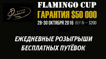 Бесплатные билеты на Flamingo Cup с гарантией $50 000
